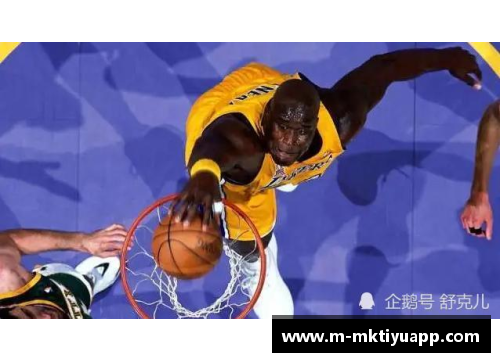 NBA黑人球员：文化地位与体育成就的探索