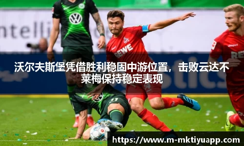 MK体育平台
